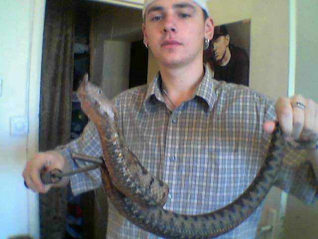 My self and a huge female N.Viper.jpg [28 Kb]